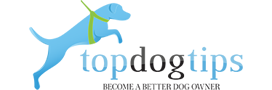 Top Dog Tips - Dog Food Recipes, Support Tips & Best Hound Supplies Reviews
